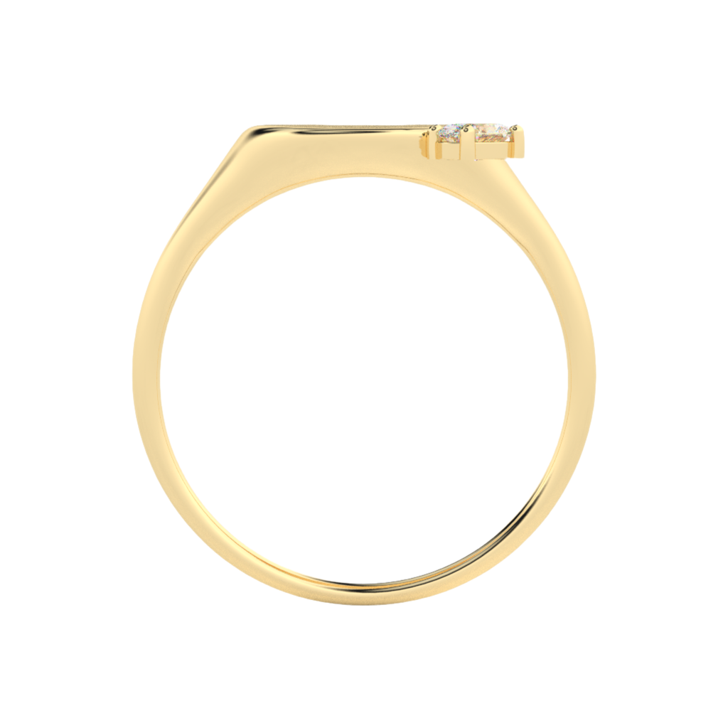 The Franca Floating Round Diamond Signet Ring | Also, Freedom