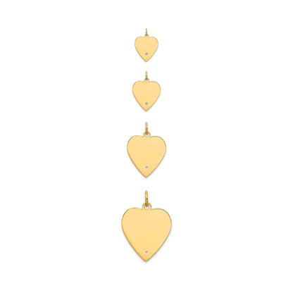 Whole Heart Drill Charm (4 Sizes)