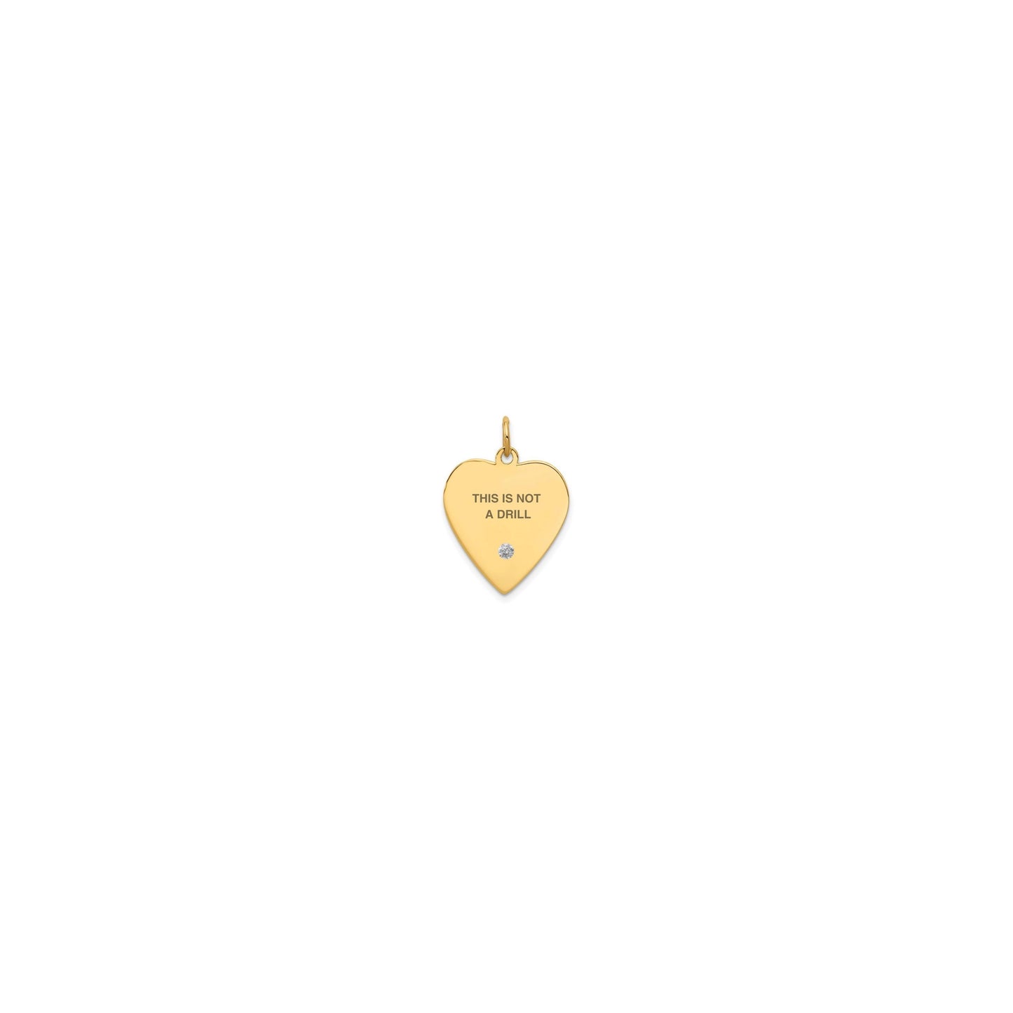 Whole Heart Drill Charm (4 Sizes)