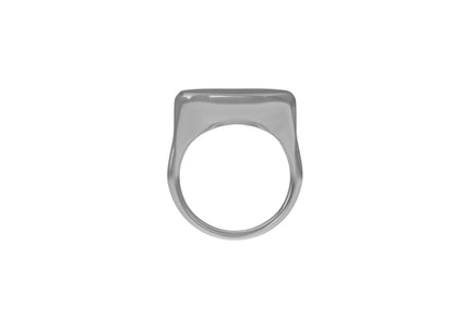 The Franca Ober Signet Ring - Fear